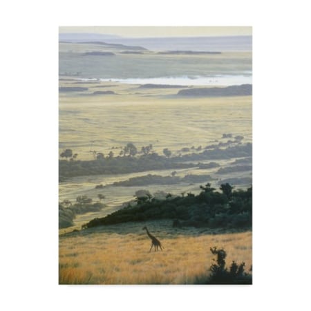 Ron Parker 'Morning On The Mara' Canvas Art,14x19